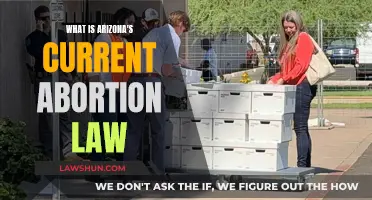 Arizona's Abortion Law: Current State and Future Outlook