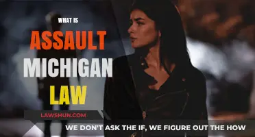 Understanding Assault Charges Under Michigan Law: Definitions and Penalties