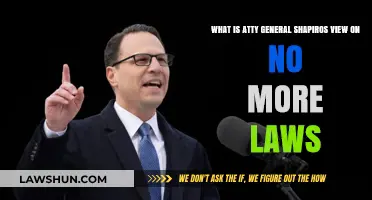 Shapiro's Stance: No More Laws and Legal Implications Explained