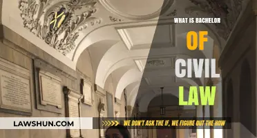 Understanding the Bachelor of Civil Law: A Comprehensive Legal Degree Guide