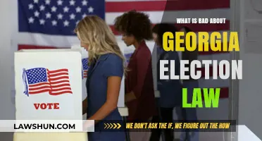 Georgia's Election Law: Restrictions, Voter Suppression, and Democracy Concerns