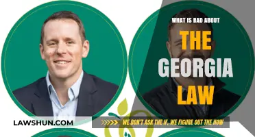 Georgia's New Law: Unveiling Its Harmful Impacts and Controversies