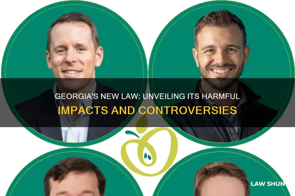 what is bad about the georgia law