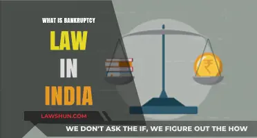 Understanding Bankruptcy Law in India: A Comprehensive Guide