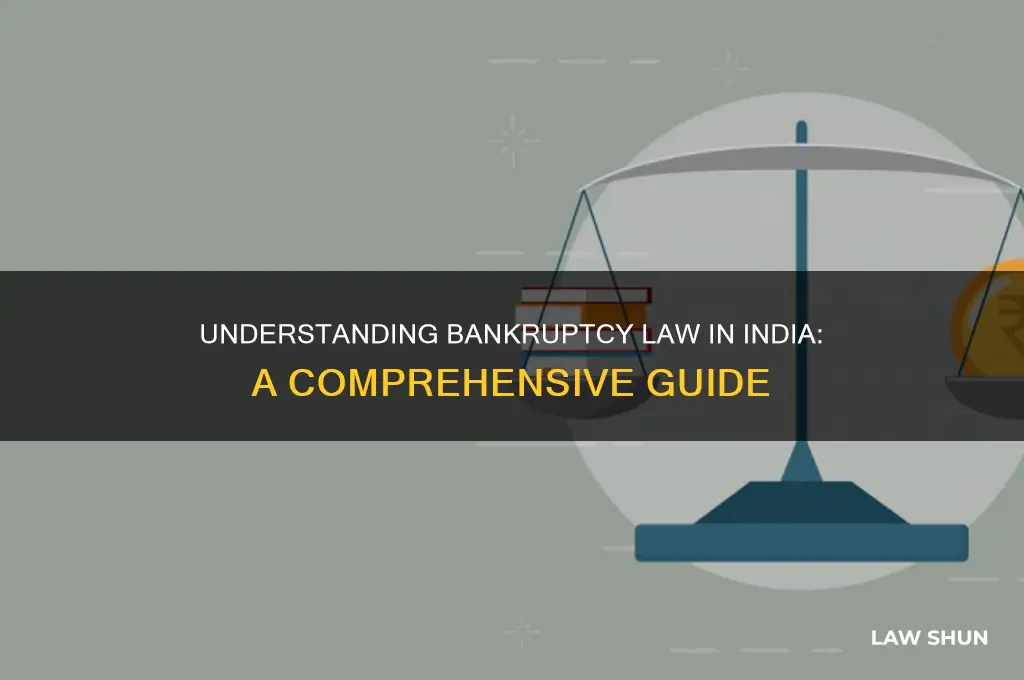what is bankruptcy law in india