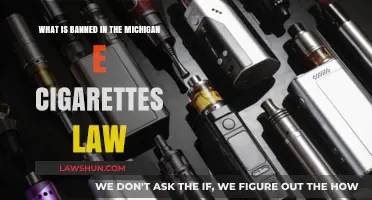 Michigan's E-Cigarette Law: What Products and Practices Are Now Banned?