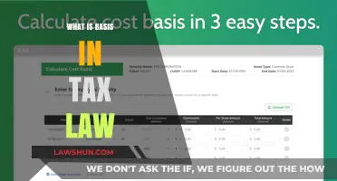 Understanding Basis: Tax Law Fundamentals