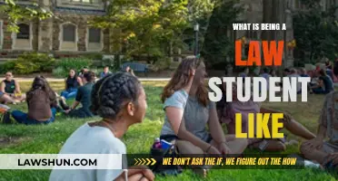 The Realities and Rewards of Life as a Law Student