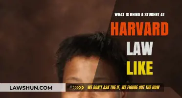 Life at Harvard Law: Rigor, Community, and Transformative Experiences
