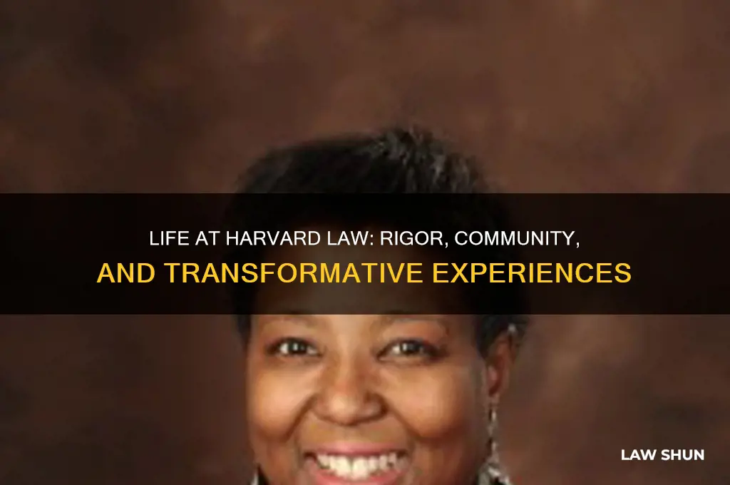 what is being a student at harvard law like