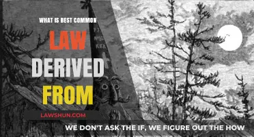 Common Law: The Best Legal System?