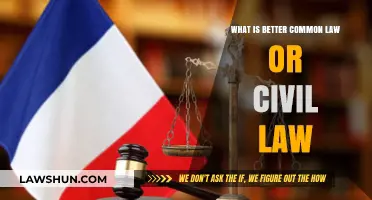 Civil vs Common Law: Which System is Superior?