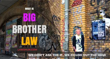 Understanding Big Brother Law: Privacy and Surveillance
