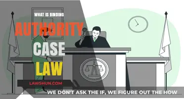 Understanding Binding Authority in Case Law