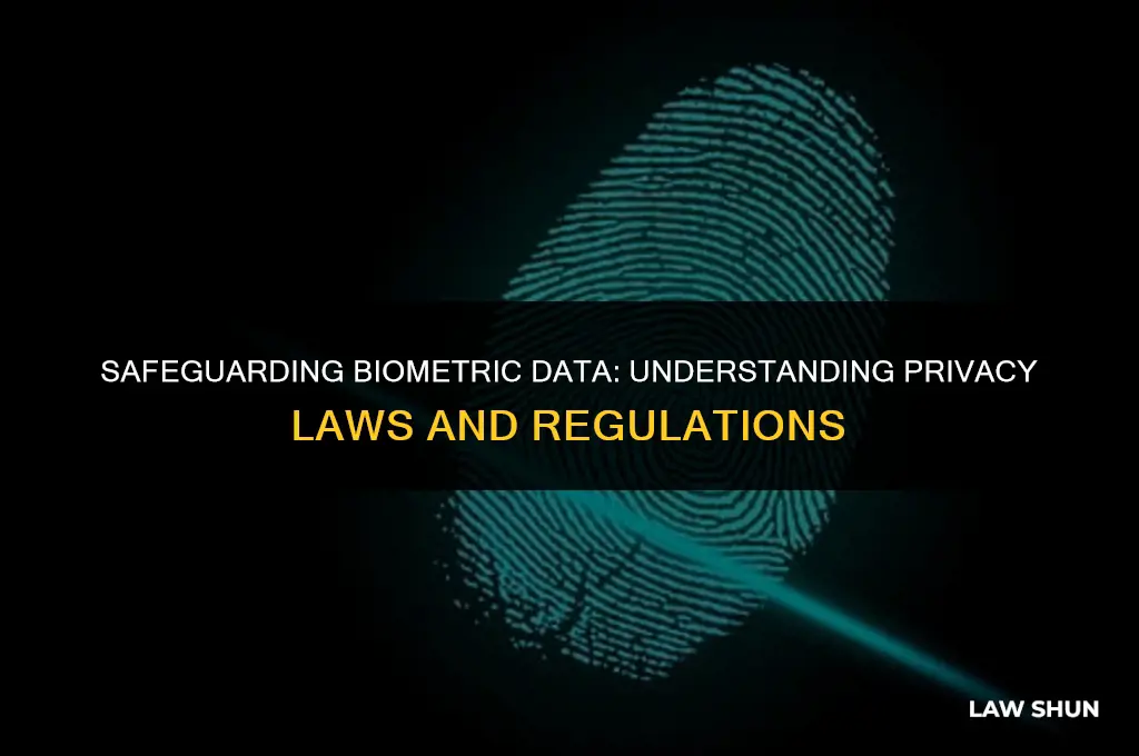 what is biometric information privacy laws