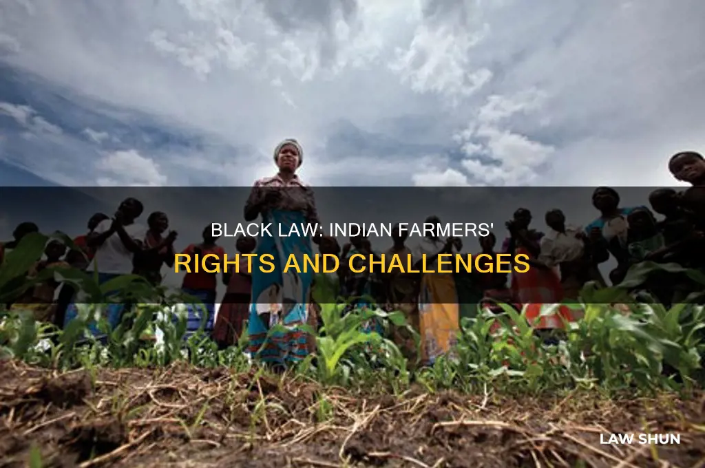 what is black law for farmers in india
