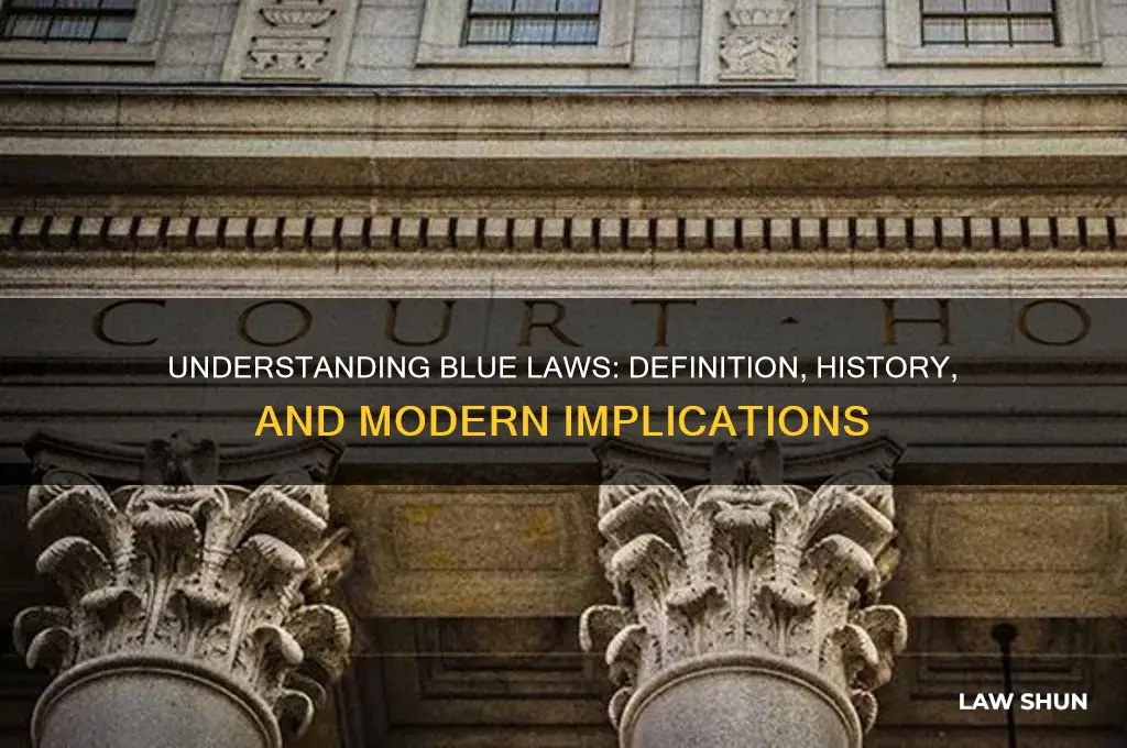 what is blue laws definition