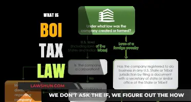 Understanding BOI Tax Laws: Benefits and Exemptions