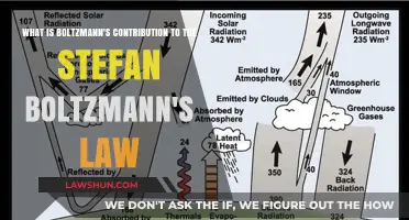 Boltzmann's Key Role in Shaping the Stefan-Boltzmann Law Explained