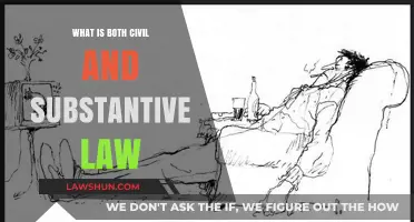 Understanding Civil and Substantive Law: Key Differences and Applications