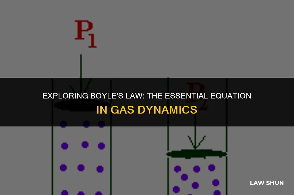 what is boyle