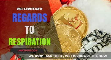 Boyle's Law Explained: Understanding Gas Exchange in Human Respiration
