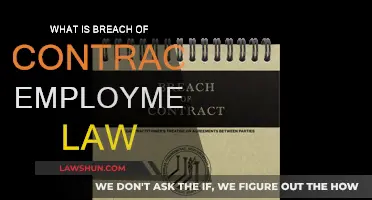 Understanding Breach of Contract: Employment Law Basics