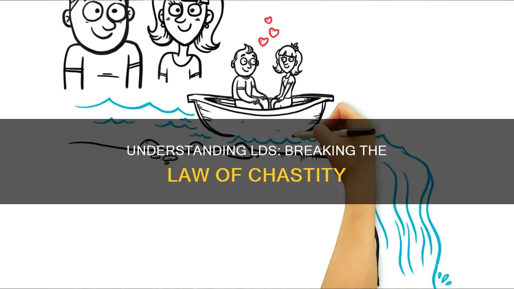 what is breaking the law of chastity lds