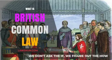 Common Law: The Foundation of British Legal System