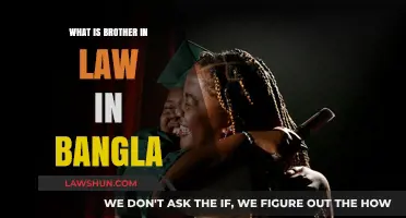 Brother-in-Law: Bangla Translation and Cultural Significance