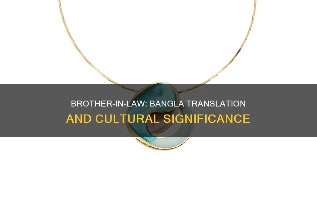 what is brother in law in bangla