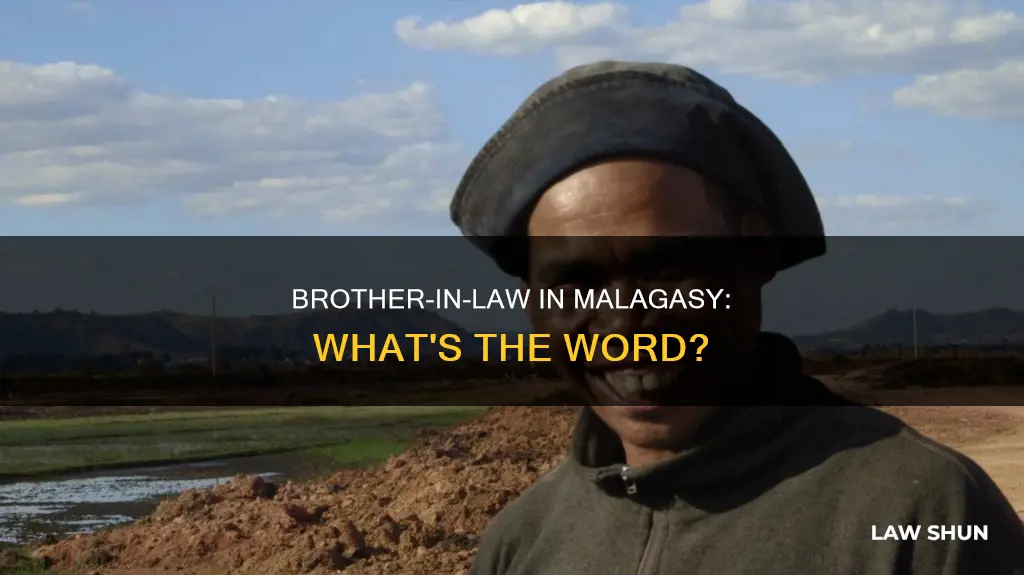 what is brother in law in madagacar language