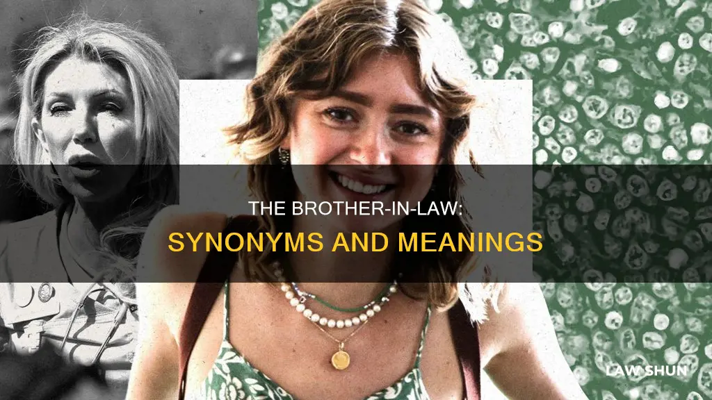 what is brother in law synonym