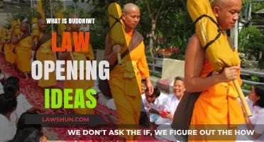 Understanding Buddhiwt Law: Key Opening Ideas and Strategies Explained