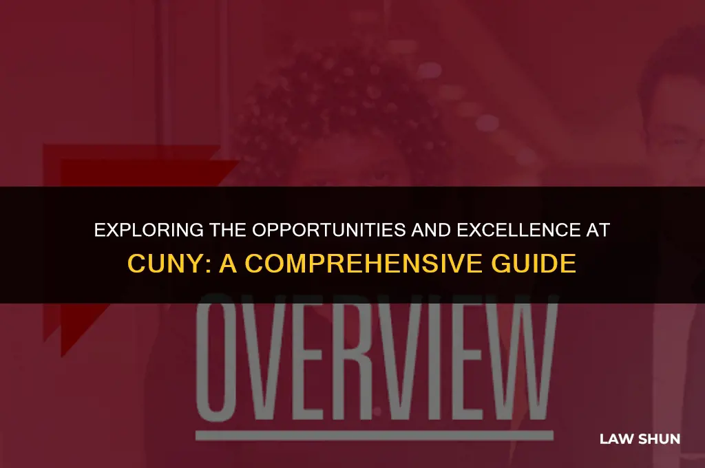 what is c u n y