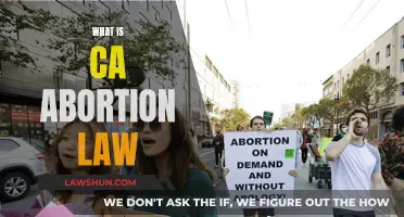 California Abortion Law: What You Need to Know