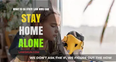 Kids Home Alone: California's Take on Child Supervision