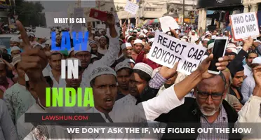 Exploring India's CAA Law: Citizenship Amendment Act