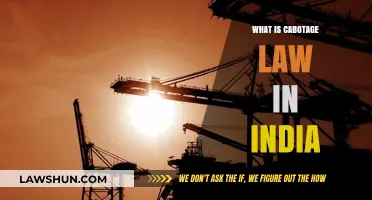 Cabotage Law: India's Shipping Industry Regulations