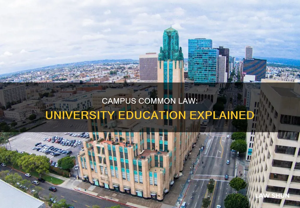 what is campus common law universities