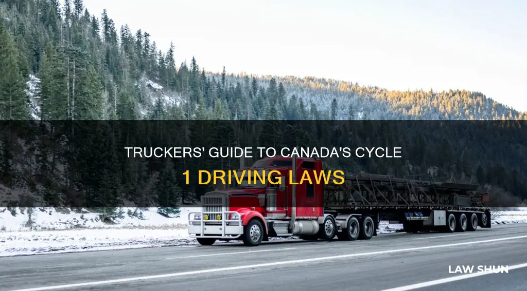 what is canada cycle 1 law for truck drivers