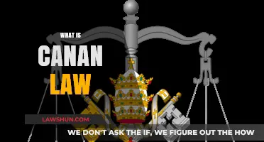 The Intricacies of Canon Law Explored