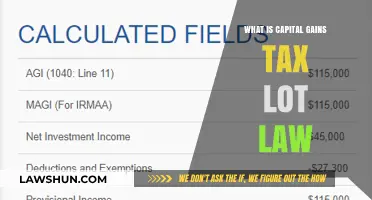 Understanding Capital Gains Tax Lot Laws: A Guide