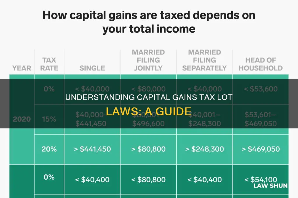 what is capital gains tax lot law