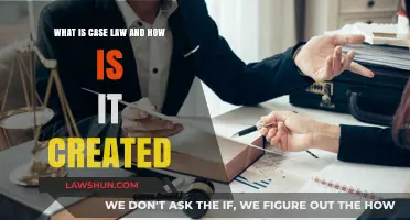 Case Law: How Judges Make It