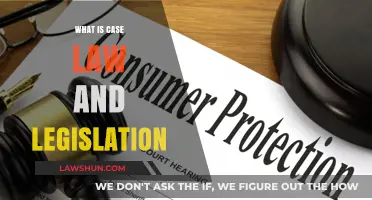 Understanding Case Law and Legislation: Vital Legal Insights