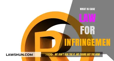 Understanding Infringement Case Law: A Guide