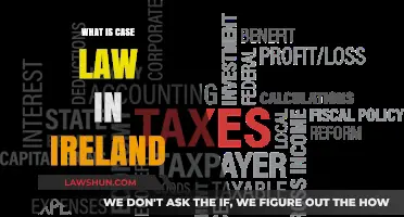 Case Law in Ireland: Understanding the System