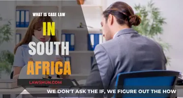 Case Law in South Africa: Understanding the System