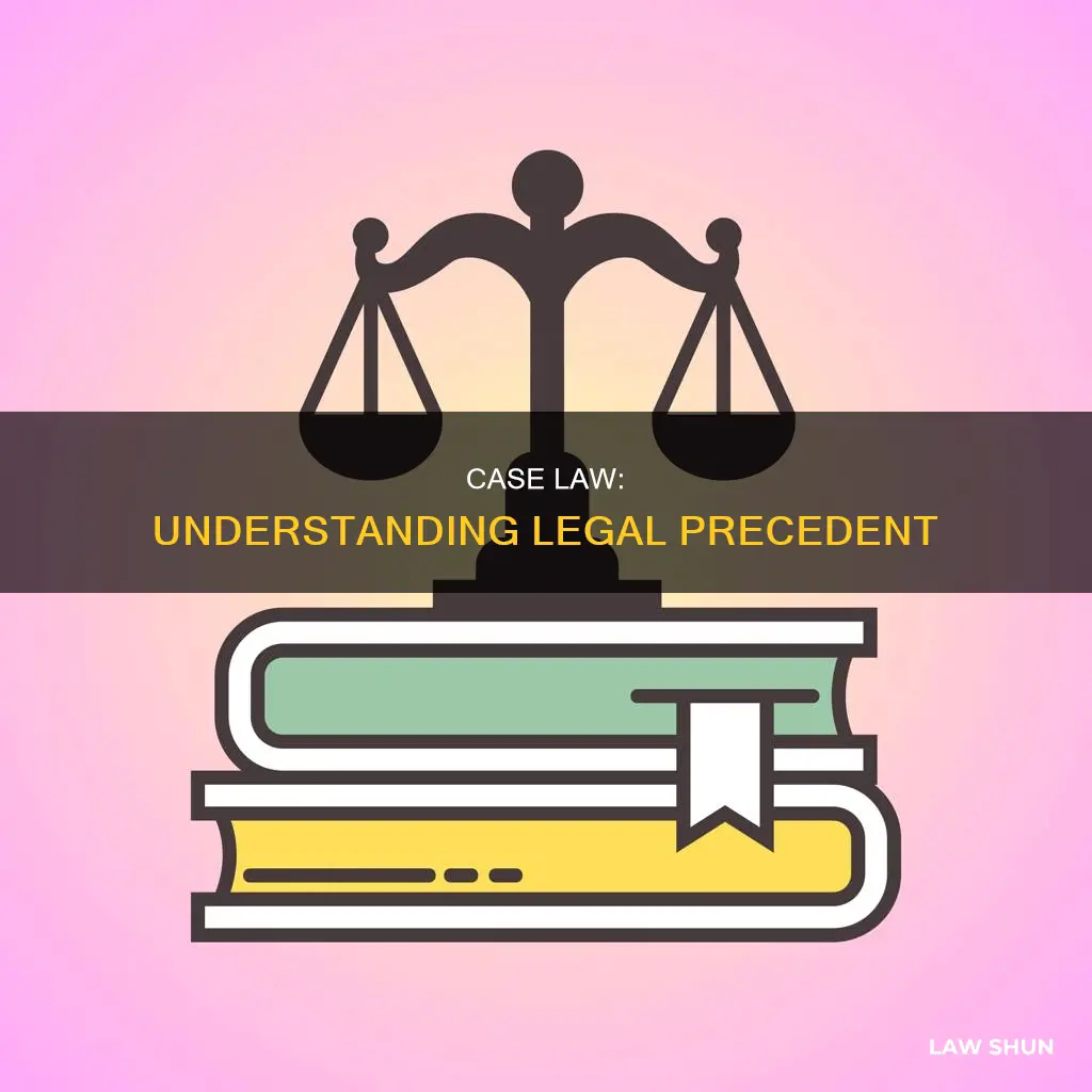 what is case law issue
